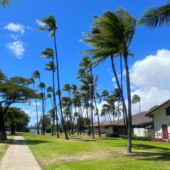 Meet your Posher, Eve - Picture 1 of 1